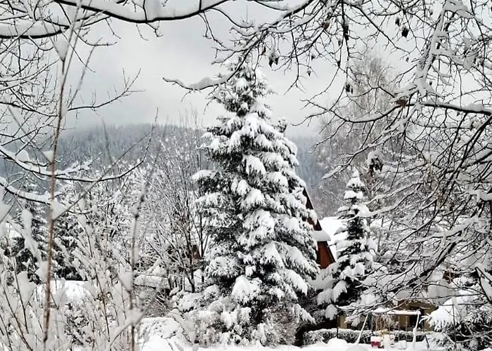 Goscinne U Jonka Закопане